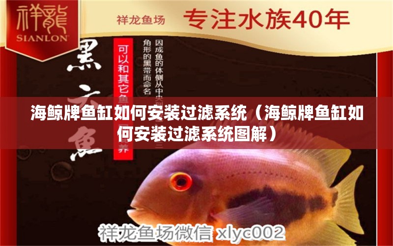 海鯨牌魚缸如何安裝過濾系統(tǒng)（海鯨牌魚缸如何安裝過濾系統(tǒng)圖解）