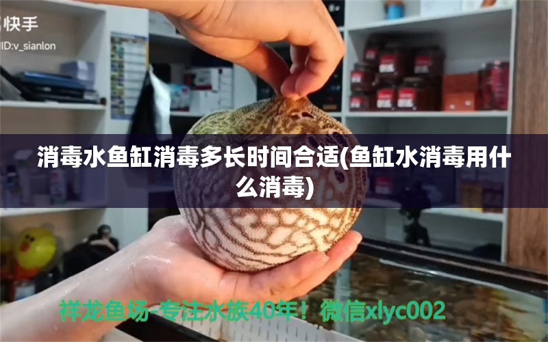 消毒水魚缸消毒多長時間合適(魚缸水消毒用什么消毒) 廣州祥龍國際水族貿易