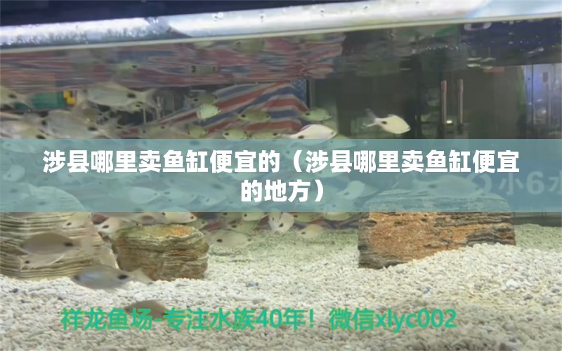 涉縣哪里賣魚缸便宜的（涉縣哪里賣魚缸便宜的地方）