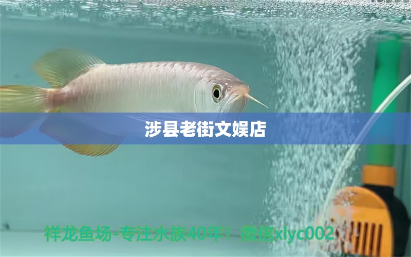 涉縣老街文娛店 全國(guó)水族館企業(yè)名錄