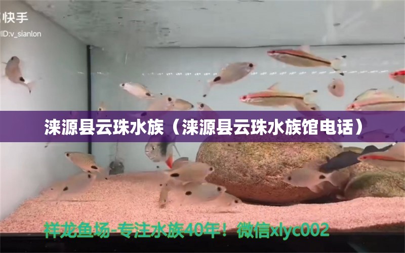 淶源縣云珠水族（淶源縣云珠水族館電話） 全國水族館企業(yè)名錄