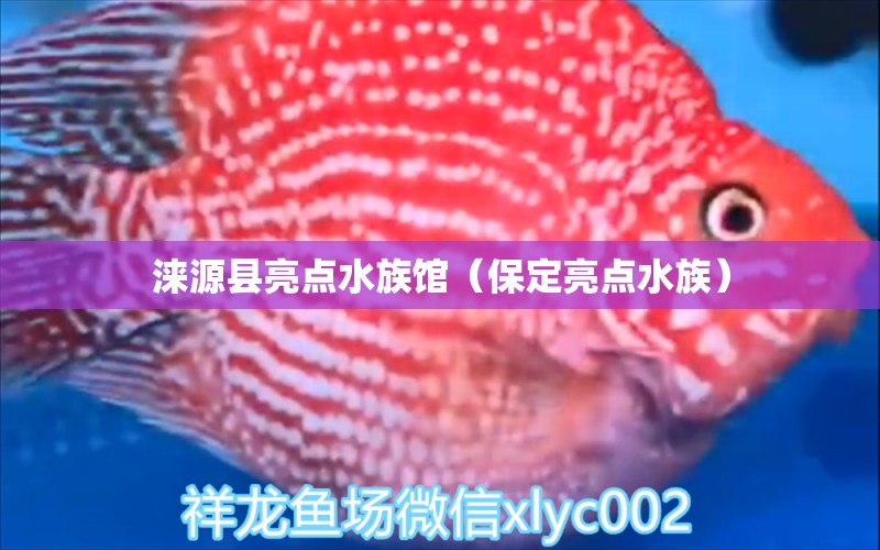 淶源縣亮點(diǎn)水族館（保定亮點(diǎn)水族）