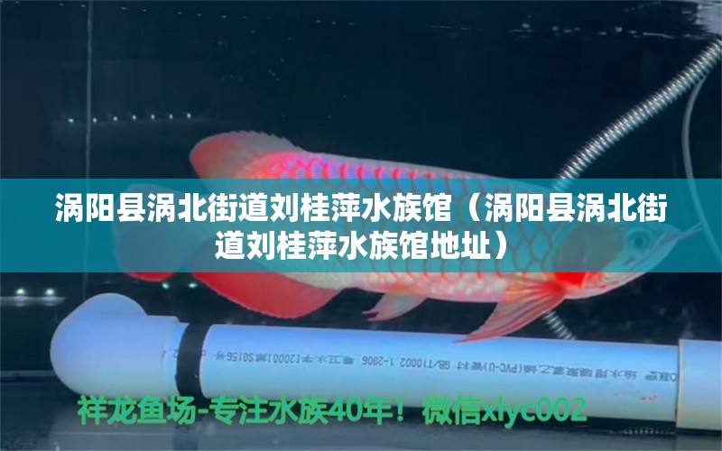 渦陽縣渦北街道劉桂萍水族館（渦陽縣渦北街道劉桂萍水族館地址） 全國水族館企業(yè)名錄