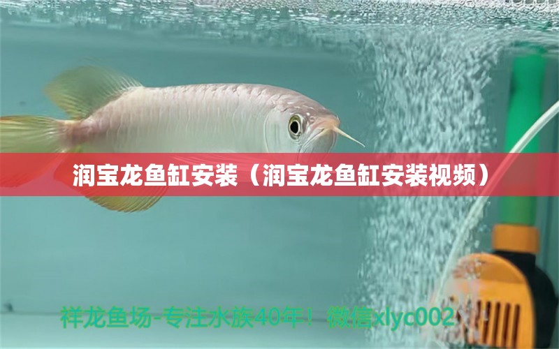 潤寶龍魚缸安裝（潤寶龍魚缸安裝視頻）