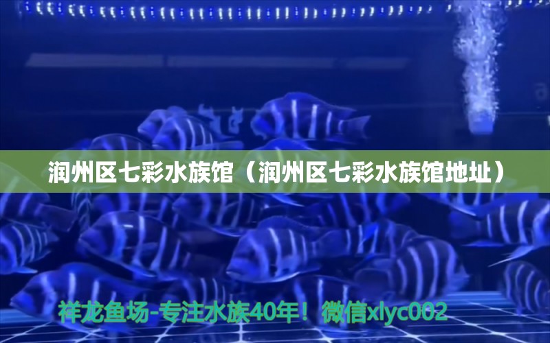 潤州區(qū)七彩水族館（潤州區(qū)七彩水族館地址）