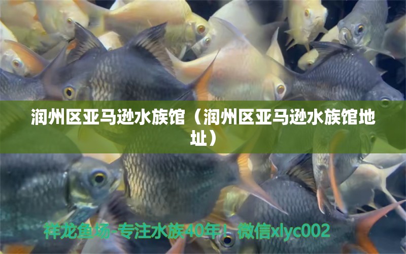 潤(rùn)州區(qū)亞馬遜水族館（潤(rùn)州區(qū)亞馬遜水族館地址） 全國(guó)水族館企業(yè)名錄