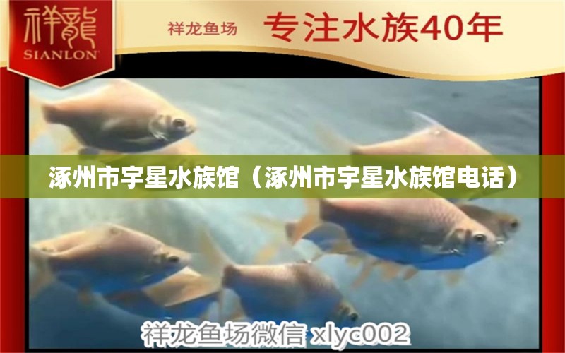 涿州市宇星水族館（涿州市宇星水族館電話）