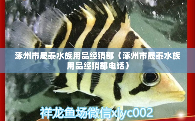 涿州市晟泰水族用品經(jīng)銷(xiāo)部（涿州市晟泰水族用品經(jīng)銷(xiāo)部電話）