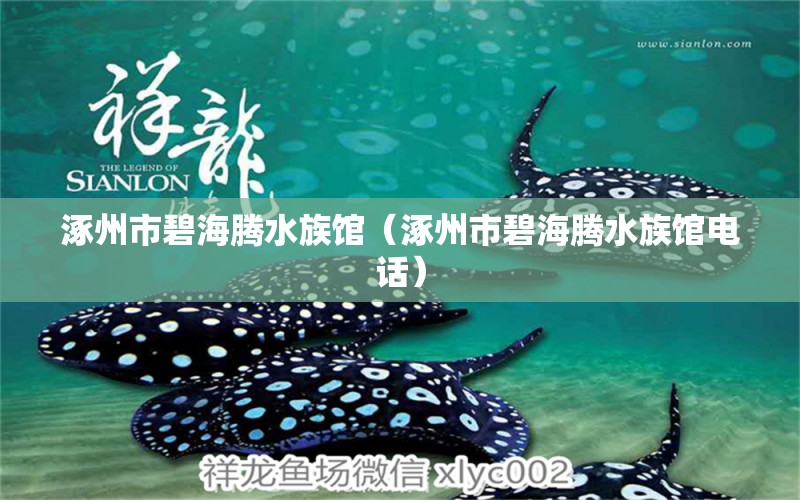 涿州市碧海騰水族館（涿州市碧海騰水族館電話） 全國(guó)水族館企業(yè)名錄