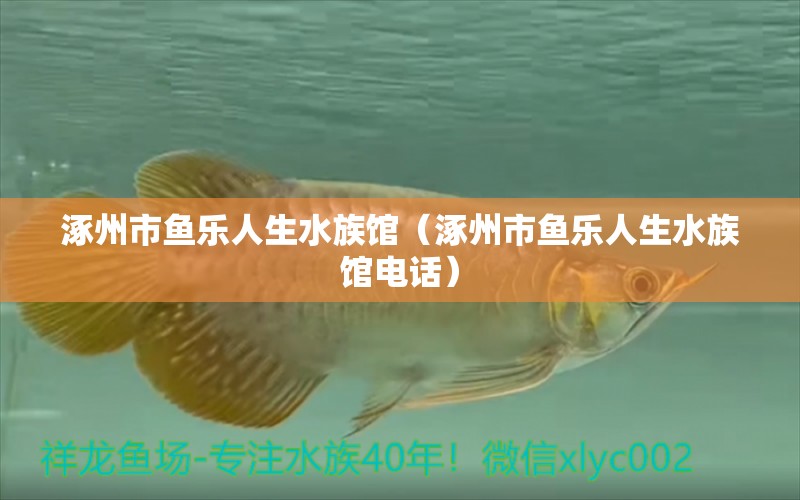 涿州市魚樂人生水族館（涿州市魚樂人生水族館電話）