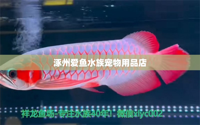 涿州愛魚水族寵物用品店