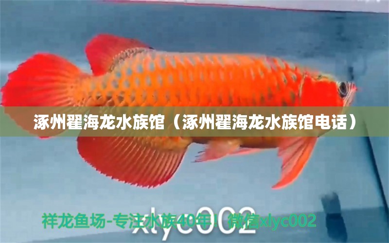 涿州翟海龍水族館（涿州翟海龍水族館電話） 全國水族館企業(yè)名錄