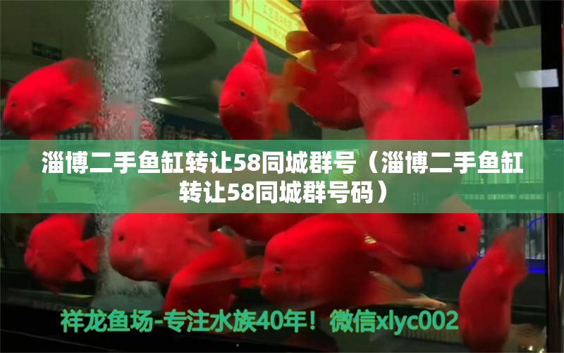 淄博二手魚缸轉(zhuǎn)讓58同城群號(hào)（淄博二手魚缸轉(zhuǎn)讓58同城群號(hào)碼） 祥龍水族醫(yī)院