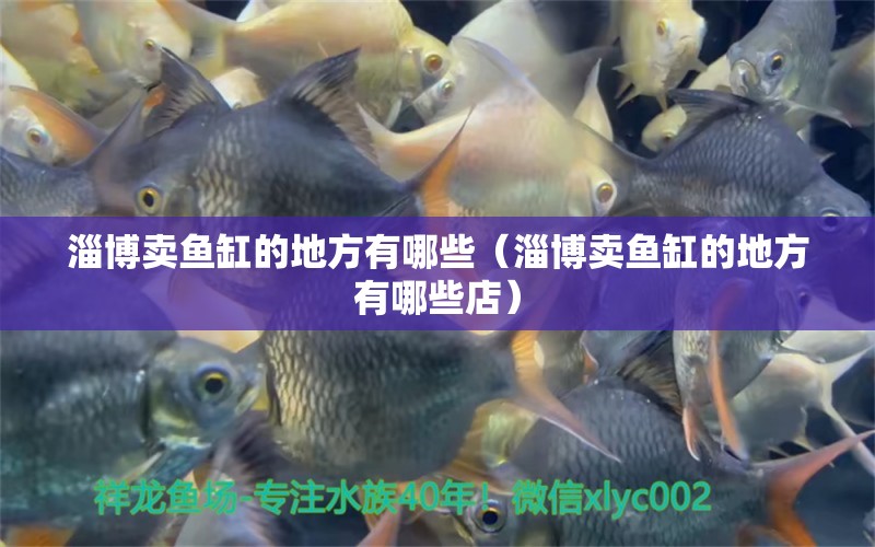 淄博賣魚缸的地方有哪些（淄博賣魚缸的地方有哪些店）