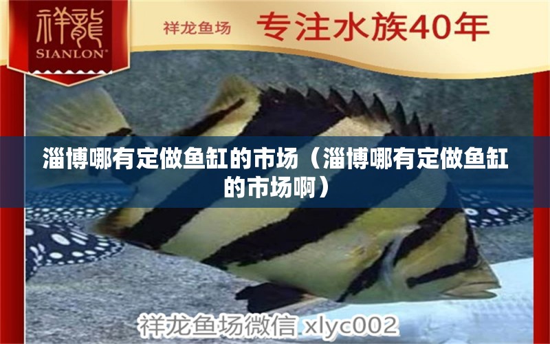 淄博哪有定做魚缸的市場（淄博哪有定做魚缸的市場?。? title=