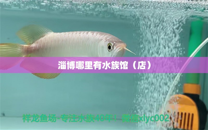 淄博哪里有水族館（店）