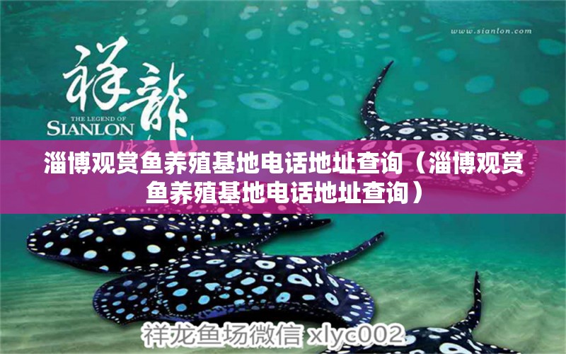 淄博觀賞魚養(yǎng)殖基地電話地址查詢（淄博觀賞魚養(yǎng)殖基地電話地址查詢）