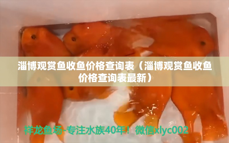 淄博觀賞魚收魚價格查詢表（淄博觀賞魚收魚價格查詢表最新） 祥龍水族醫(yī)院