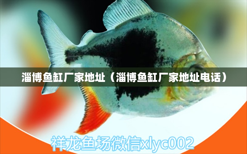 淄博魚缸廠家地址（淄博魚缸廠家地址電話） 祥龍水族醫(yī)院