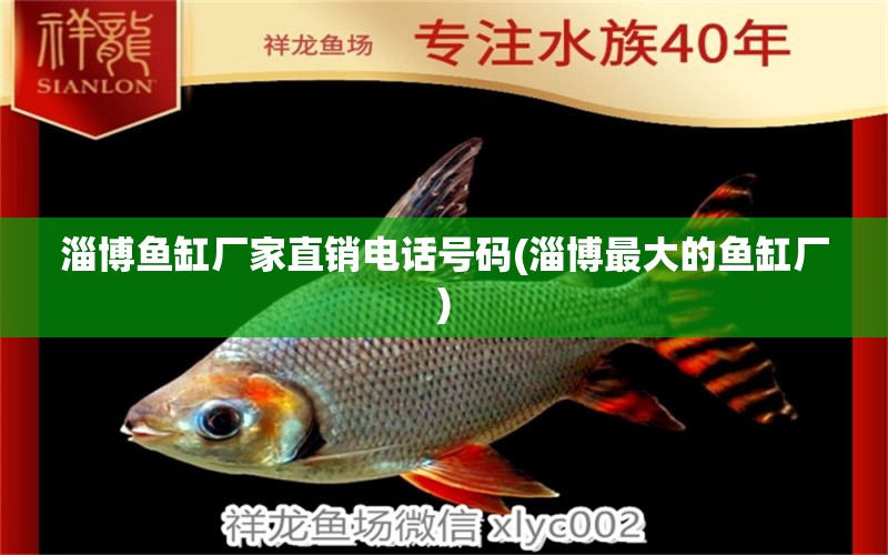 淄博魚缸廠家直銷電話號碼(淄博最大的魚缸廠) 圖騰金龍魚