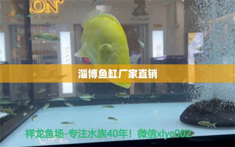 淄博魚缸廠家直銷