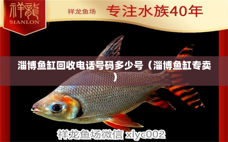 淄博魚缸回收電話號碼多少號（淄博魚缸專賣）