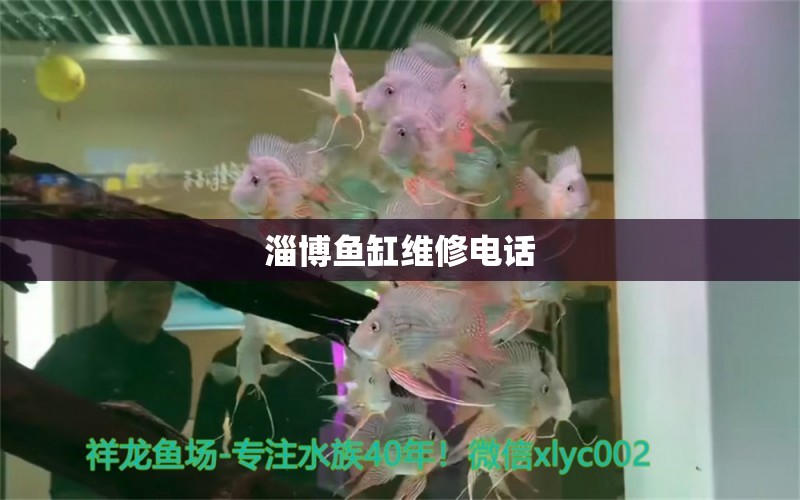 淄博魚缸維修電話