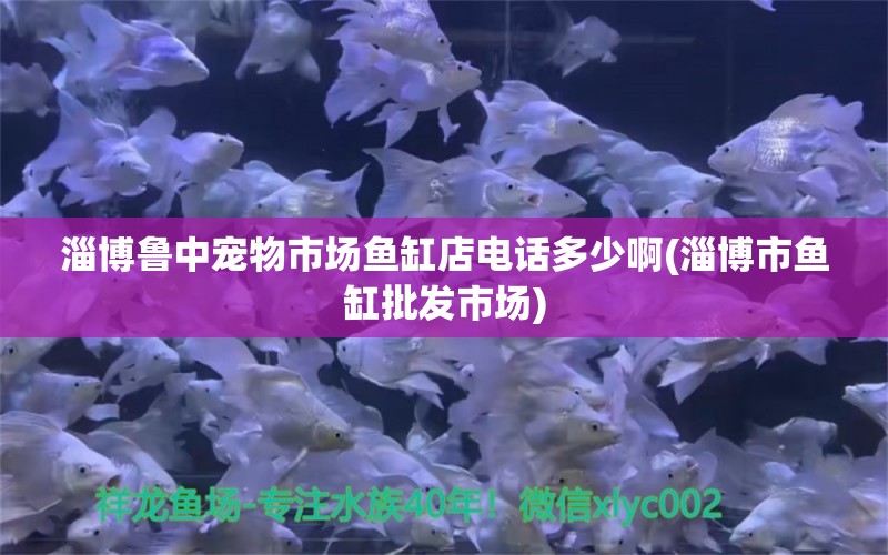 淄博魯中寵物市場(chǎng)魚(yú)缸店電話(huà)多少啊(淄博市魚(yú)缸批發(fā)市場(chǎng)) 祥龍龍魚(yú)魚(yú)糧