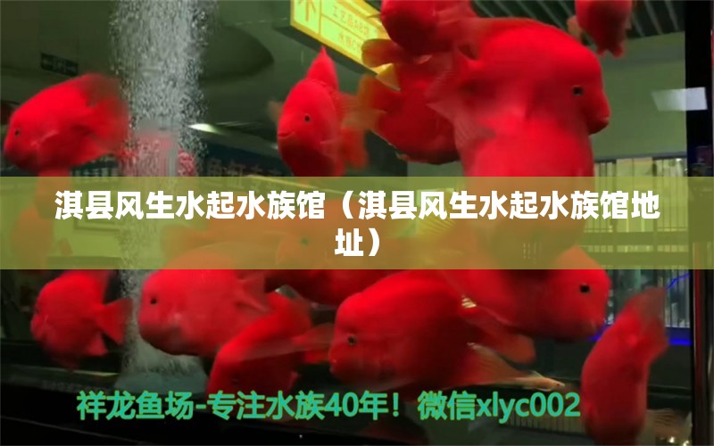 淇縣風生水起水族館（淇縣風生水起水族館地址） 全國水族館企業(yè)名錄