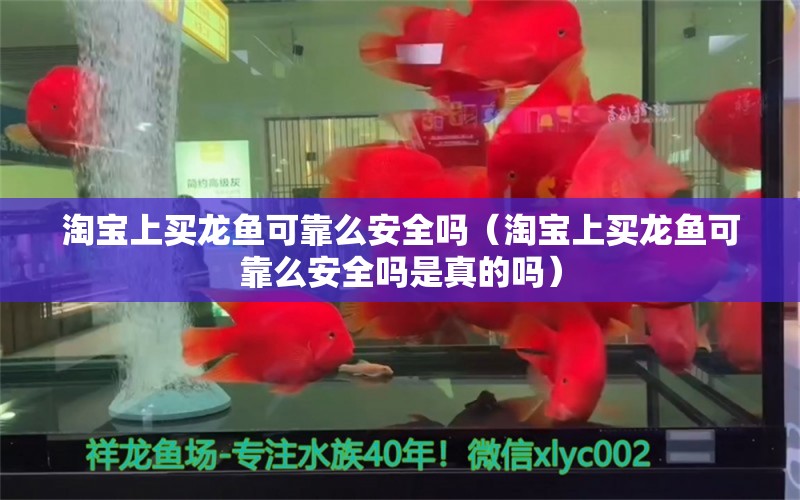 淘寶上買龍魚可靠么安全嗎（淘寶上買龍魚可靠么安全嗎是真的嗎） 網(wǎng)上購買觀賞魚