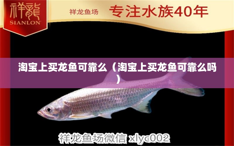 淘寶上買龍魚可靠么（淘寶上買龍魚可靠么嗎）