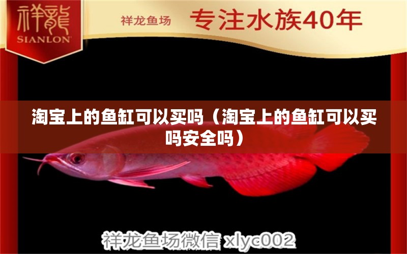 淘寶上的魚缸可以買嗎（淘寶上的魚缸可以買嗎安全嗎）