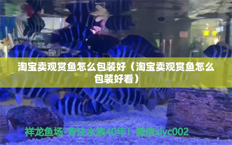 淘寶賣觀賞魚怎么包裝好（淘寶賣觀賞魚怎么包裝好看）