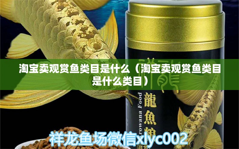 淘寶賣觀賞魚類目是什么（淘寶賣觀賞魚類目是什么類目） 網(wǎng)上購買觀賞魚