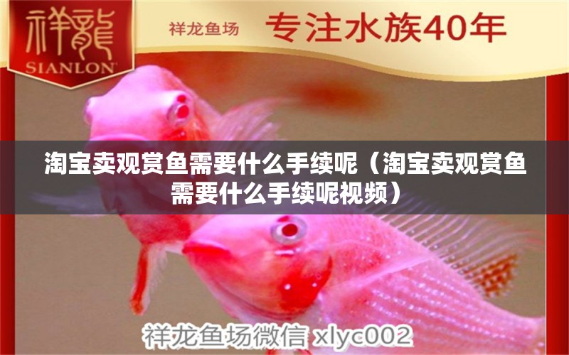 淘寶賣觀賞魚需要什么手續(xù)呢（淘寶賣觀賞魚需要什么手續(xù)呢視頻）