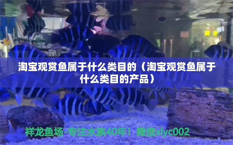 淘寶觀賞魚屬于什么類目的（淘寶觀賞魚屬于什么類目的產(chǎn)品）