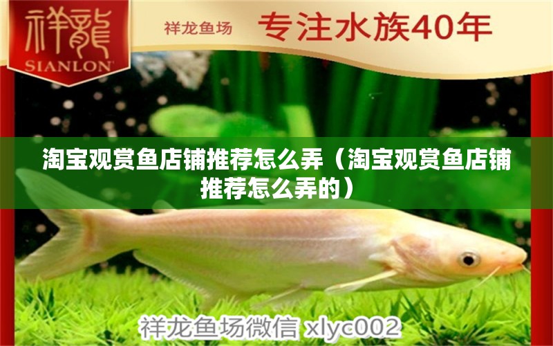 淘寶觀賞魚店鋪推薦怎么弄（淘寶觀賞魚店鋪推薦怎么弄的）