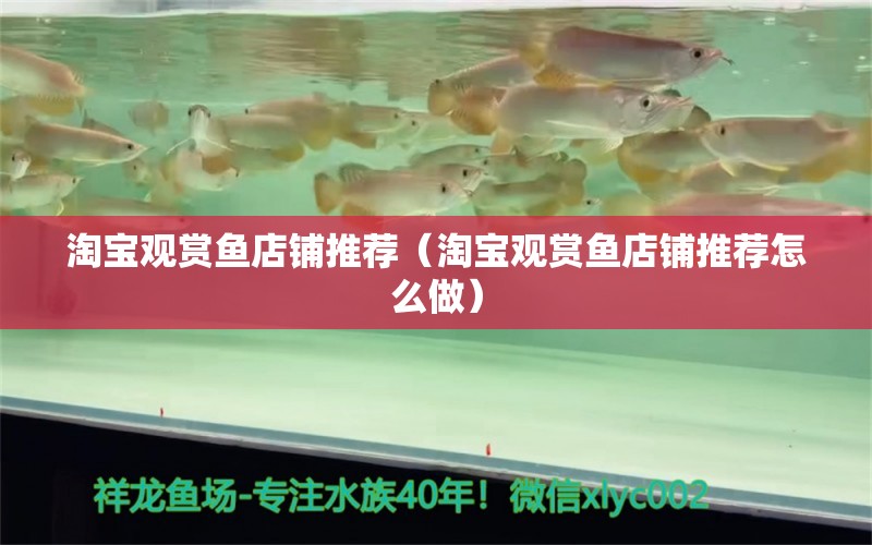 淘寶觀賞魚(yú)店鋪推薦（淘寶觀賞魚(yú)店鋪推薦怎么做）