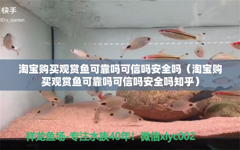 淘寶購(gòu)買觀賞魚可靠嗎可信嗎安全嗎（淘寶購(gòu)買觀賞魚可靠嗎可信嗎安全嗎知乎）