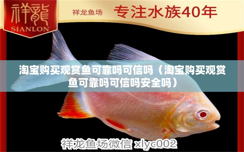 淘寶購買觀賞魚可靠嗎可信嗎（淘寶購買觀賞魚可靠嗎可信嗎安全嗎） 網(wǎng)上購買觀賞魚