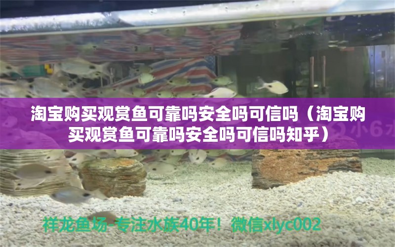 淘寶購(gòu)買觀賞魚可靠嗎安全嗎可信嗎（淘寶購(gòu)買觀賞魚可靠嗎安全嗎可信嗎知乎）