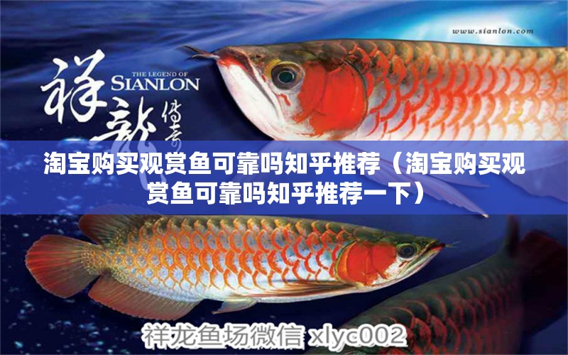 淘寶購(gòu)買觀賞魚可靠嗎知乎推薦（淘寶購(gòu)買觀賞魚可靠嗎知乎推薦一下）