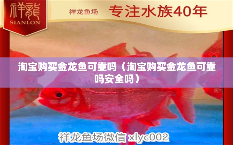 淘寶購買金龍魚可靠嗎（淘寶購買金龍魚可靠嗎安全嗎） 網(wǎng)上購買觀賞魚