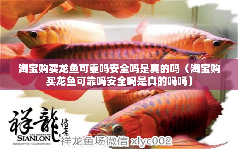 淘寶購買龍魚可靠嗎安全嗎是真的嗎（淘寶購買龍魚可靠嗎安全嗎是真的嗎嗎）