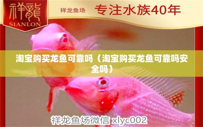 淘寶購(gòu)買龍魚可靠嗎（淘寶購(gòu)買龍魚可靠嗎安全嗎）