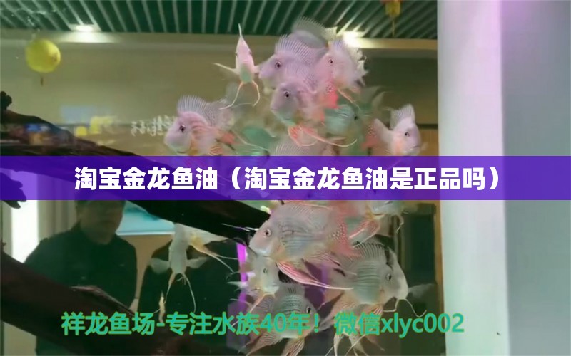 淘寶金龍魚油（淘寶金龍魚油是正品嗎）