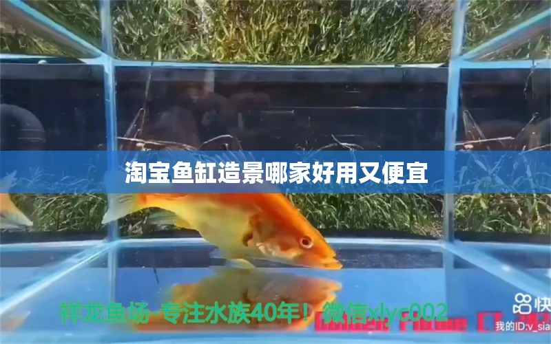 淘寶魚缸造景哪家好用又便宜 祥龍魚場