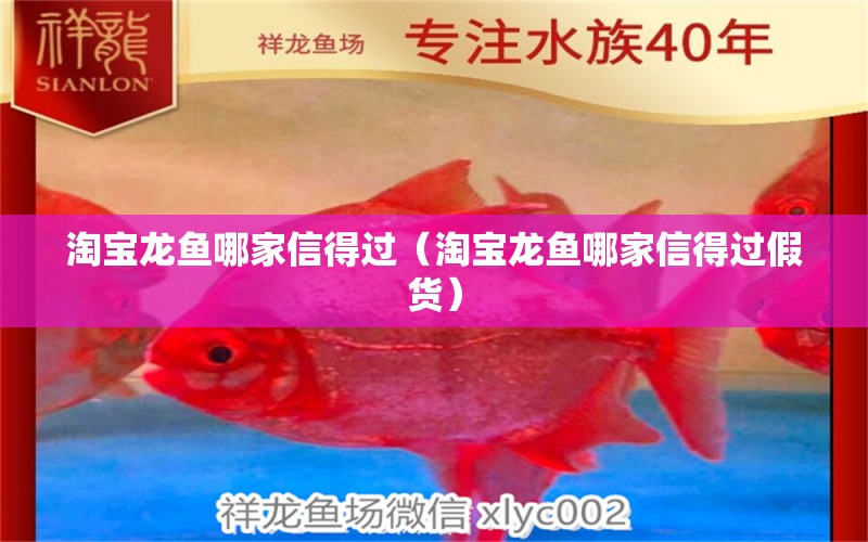 淘寶龍魚哪家信得過（淘寶龍魚哪家信得過假貨）