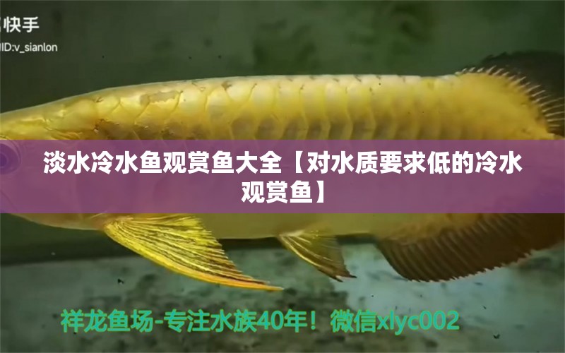 淡水冷水魚觀賞魚大全【對(duì)水質(zhì)要求低的冷水觀賞魚】