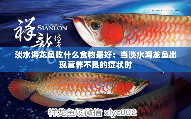 淡水海龍魚(yú)吃什么食物最好：當(dāng)?shù)｝堲~(yú)出現(xiàn)營(yíng)養(yǎng)不良的癥狀時(shí) 水族問(wèn)答